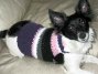 Dog Sweater - Padee Anne's Girly Girl Sweater Crochet Pattern