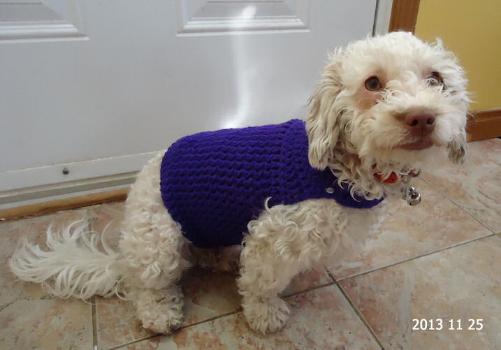 Free Dog Sweater Crochet Pattern