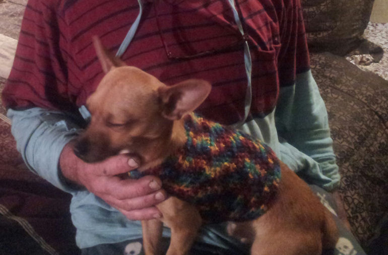 Free Dog Sweater Pattern