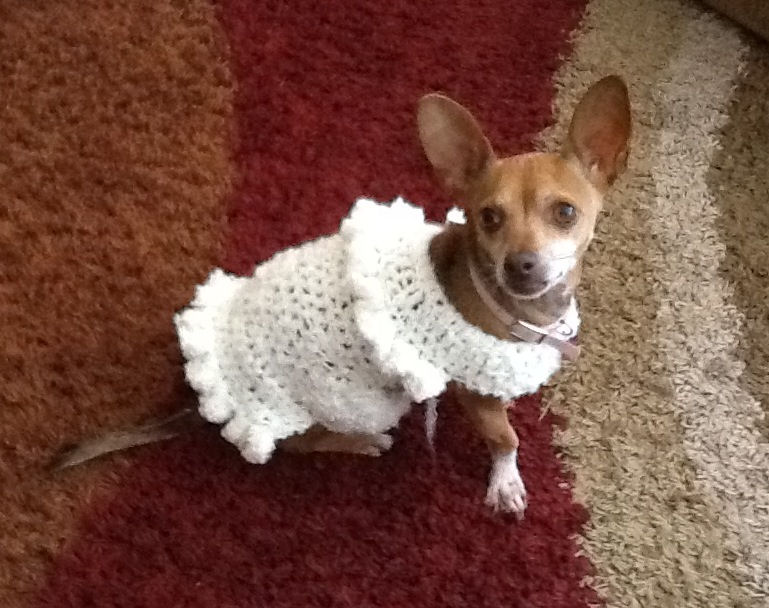 Dog Sweater - Missy