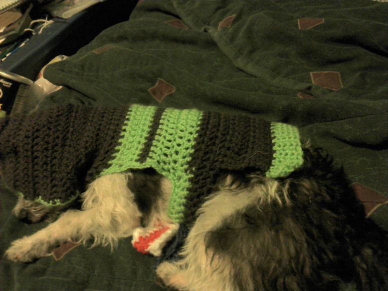 Dog Sweater Free Crochet Pattern
