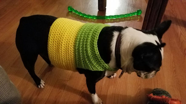 Dog Sweater Free Crochet Pattern Courtesy of Crochet N More