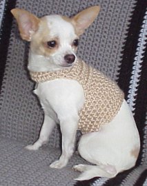 Dog Sweater - Binky