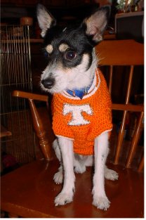 Gizmo's Dog Sweater