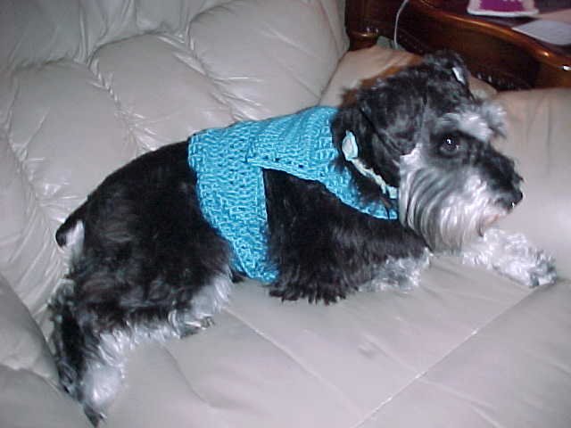 Dog Sweater with Ribbed Edge Crochet Pattern