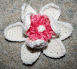 Magnolia Blossom Crochet Pattern