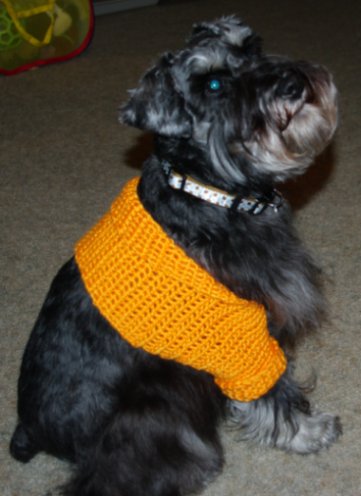Sawyer's Shrug Crochet Pattern