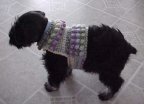 Sawyer's Crocheted Dog Sweater