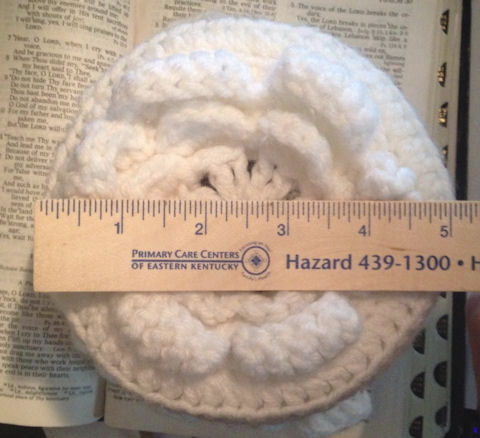 toilet tissue cover free crochet pattern
